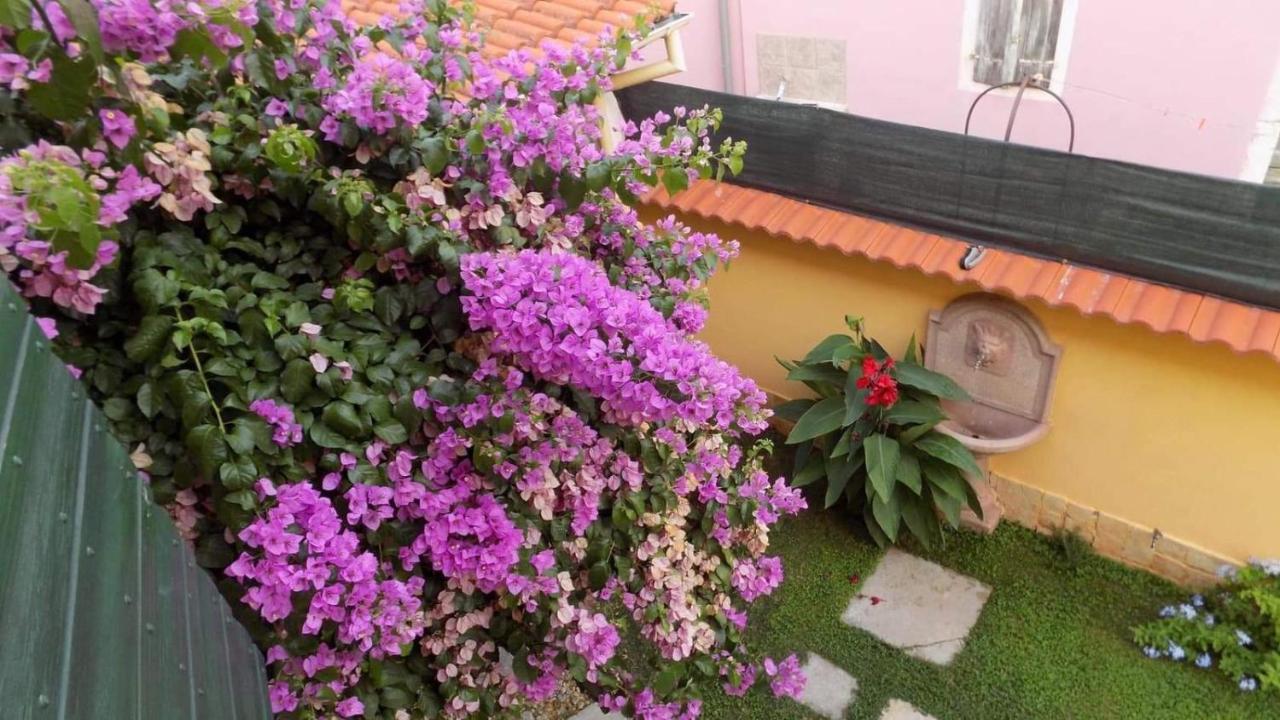 Villa House Justina Zadar Exterior foto