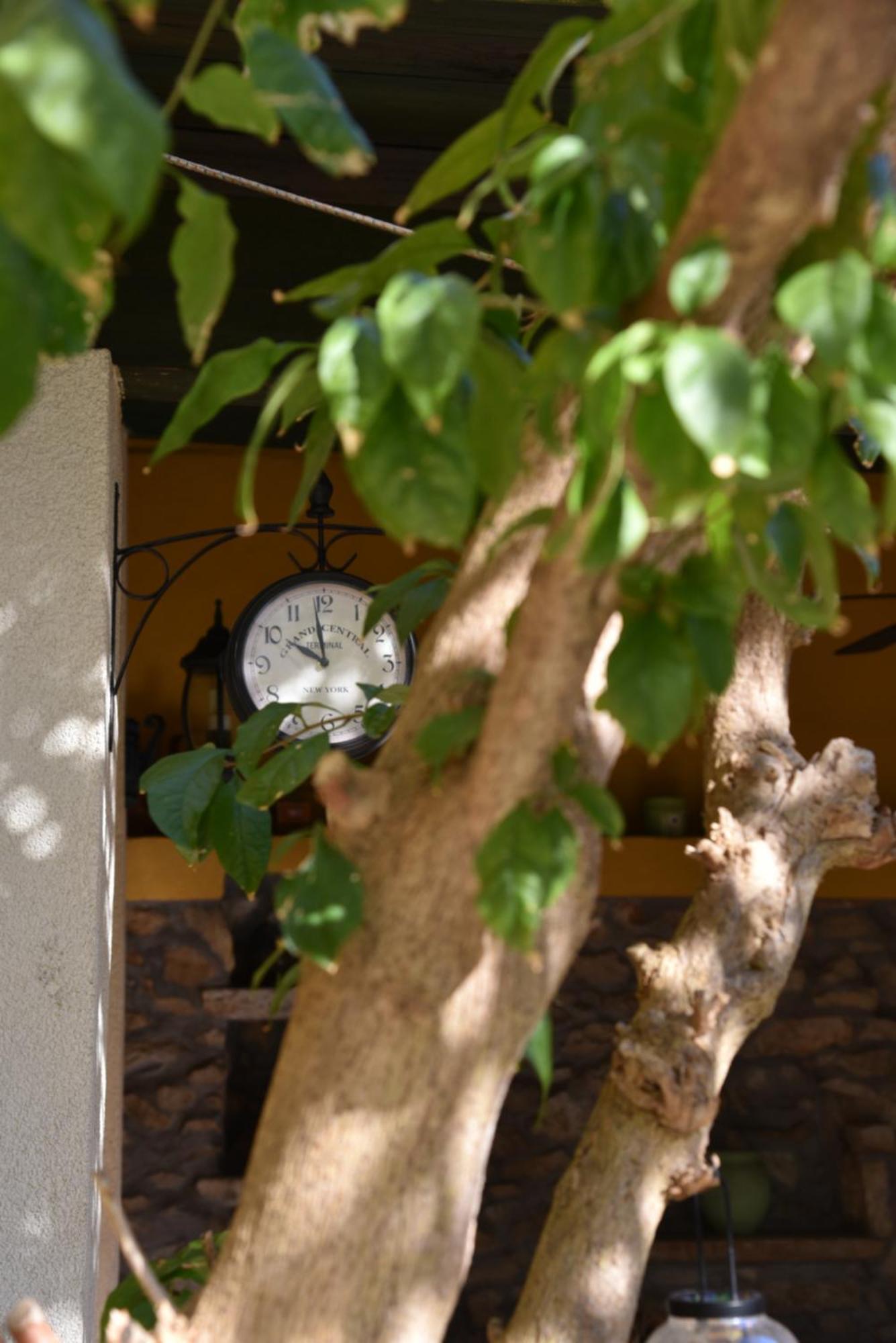 Villa House Justina Zadar Exterior foto